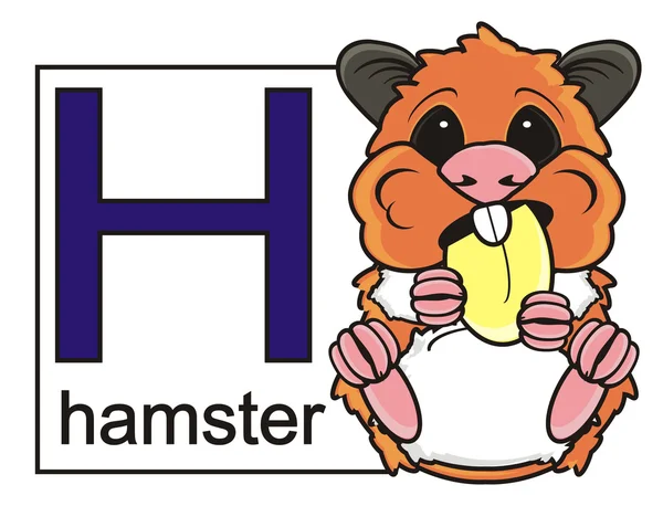 Kaart met de letter H en de hamster — Stockfoto