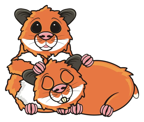 Deux hamsters ensemble — Photo