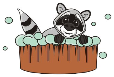 Rakun bir havza köpüklü banyo