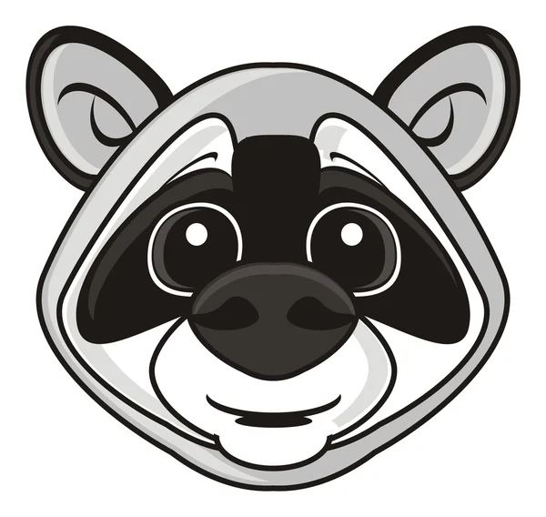 Smiling face raccoon — Stock Photo, Image