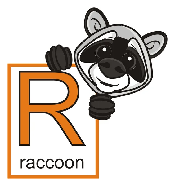 Wasbeer houden een bordje met de letter R — Stockfoto