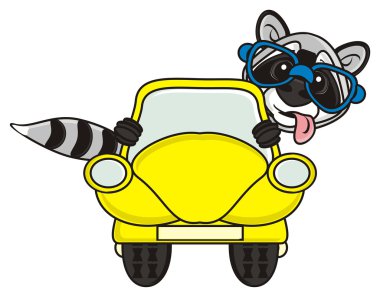 Namlu Rakun kabin bakmak