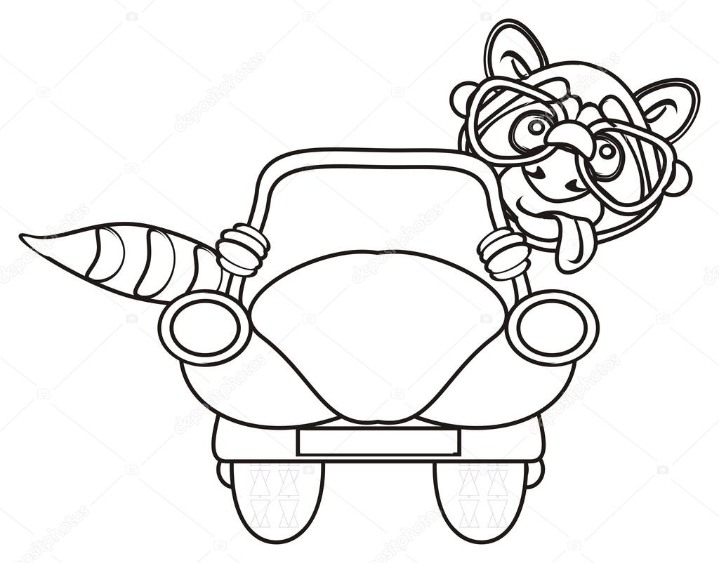 Kleurplaat Wasbeer Zittend In De Auto Stockfoto Tatty77tatty