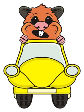 arabaya binme hamster