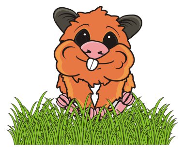 otların arasında oturan hamster