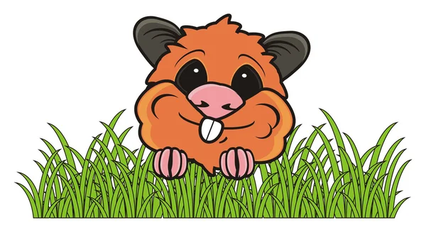 Nosen hamster sticker i gräset — Stockfoto