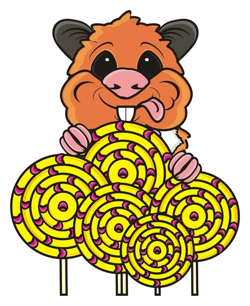 Hamster mit vielen runden Bonbons — Stockfoto