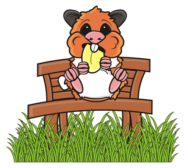 Hamster sentado em um banco — Fotografia de Stock