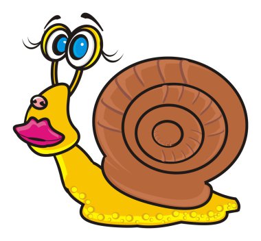 Önden Görünüm bej salyangoz