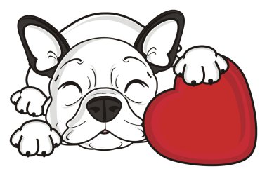 kırmızı bir kalp ile köpek