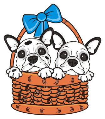 iki köpek sepeti bakmak