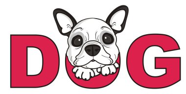 mektuptan kadar köpek göz