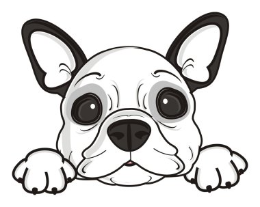 köpeğin komik namlu