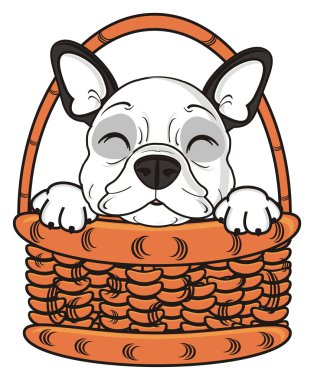 köpek sepeti bakmak