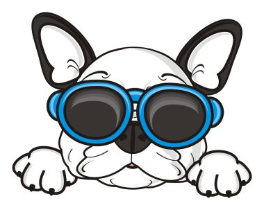 Güneş gözlüklü köpek