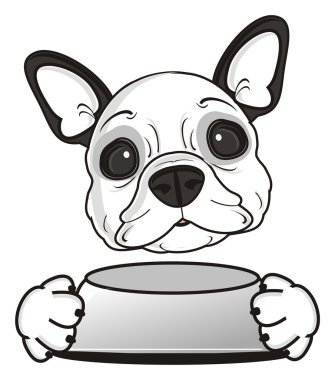 boş bir kase ile köpek