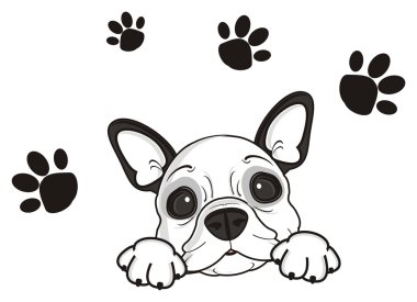 köpek ve pençeleri üzerinden izleri