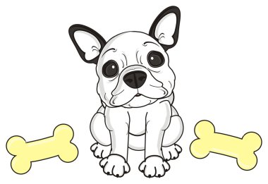 kemik bulmuş köpek