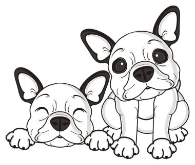 iki köpek yakınındaki