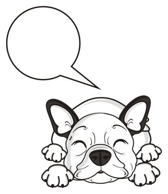 köpek ve temiz bir dipnot