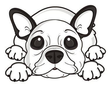 karnına yalan köpek