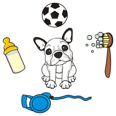 köpek ve diğer nesneler