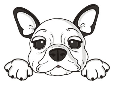 köpek sevimli burun