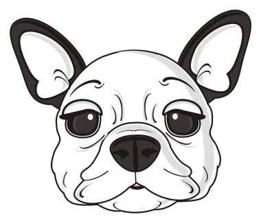 köpeğin komik namlu