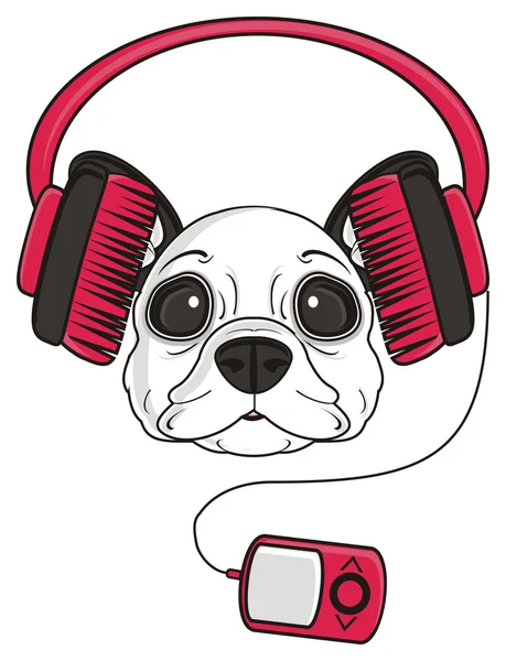 Pes v sluchátka — Stock fotografie