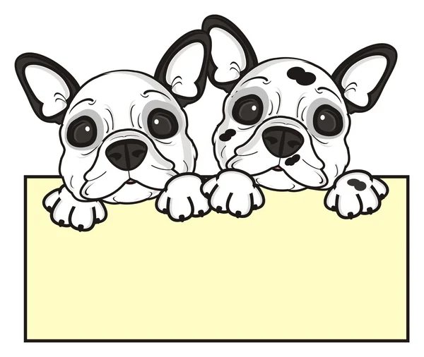 Twee honden met een leeg bord — Stockfoto