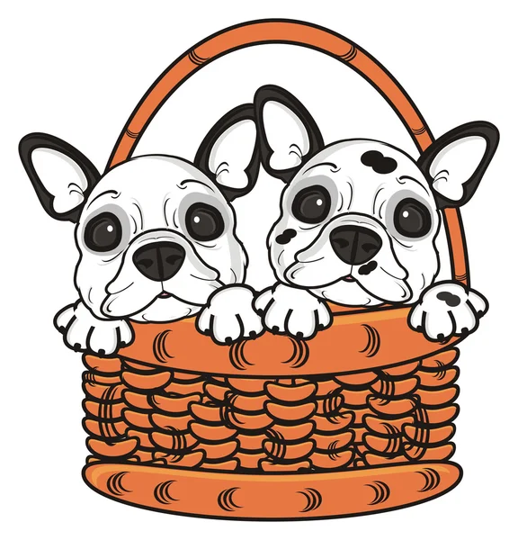 Две собаки, выглядывающие из корзины — стоковое фото