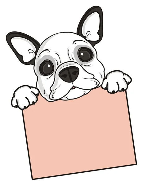 Perro con un signo en blanco rosa —  Fotos de Stock