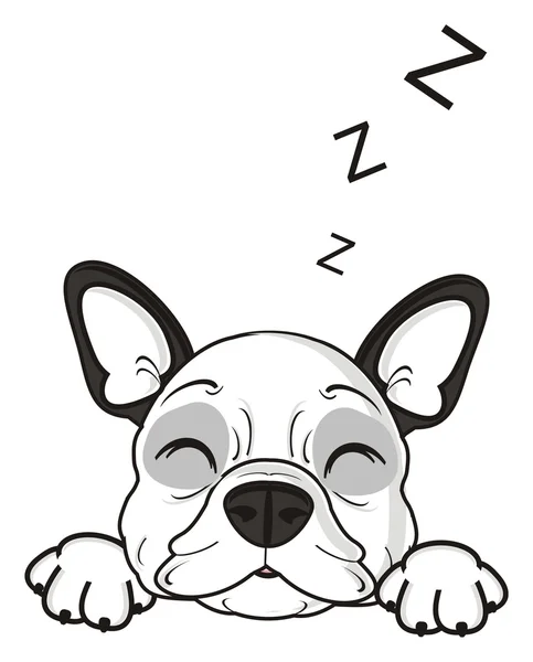 Pes spí — Stock fotografie