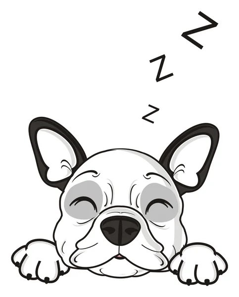 Dog is sleeping — Stock Photo, Image