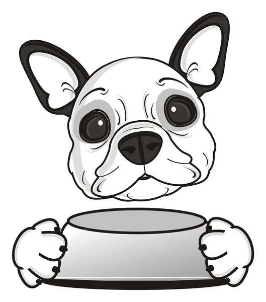 Dog with an empty bowl — Stock Photo, Image