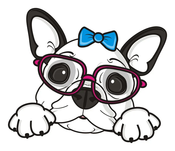 kız köpek bir yay ile