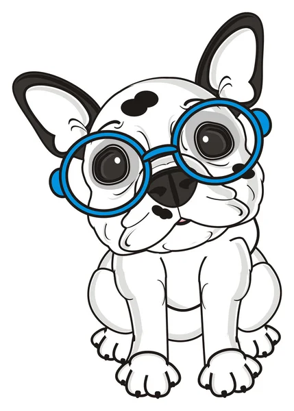 Σκυλί με ένα γυαλιά — Φωτογραφία Αρχείου
