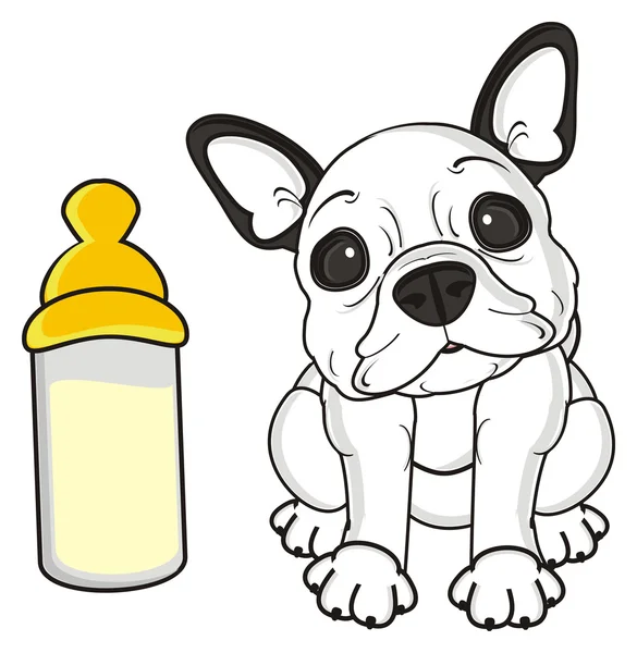 Dog with a big bottle of milk — Stock Photo, Image