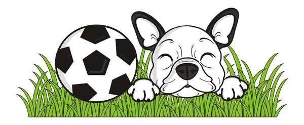 Σκυλί με ένα soccerball — Φωτογραφία Αρχείου