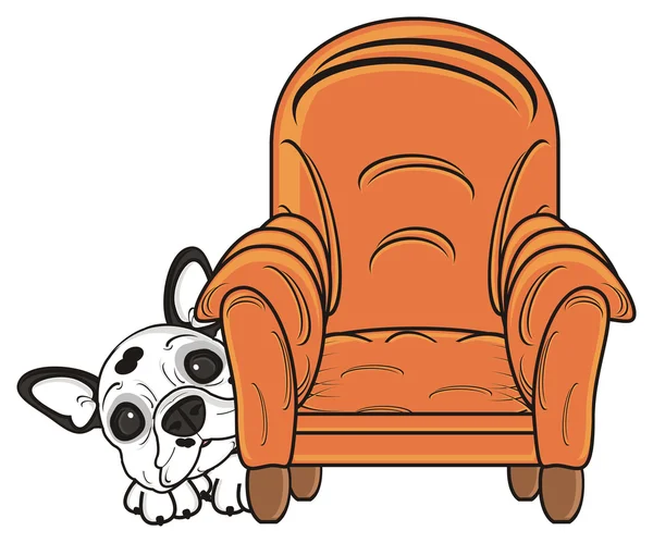 Собака і стілець — стокове фото