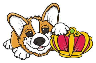 köpek bir taç holding