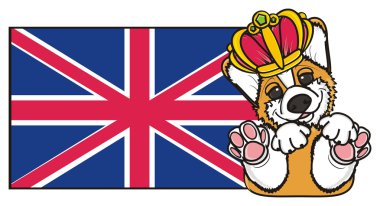 köpek Büyük Britanya bayrağı yanında yatıyor