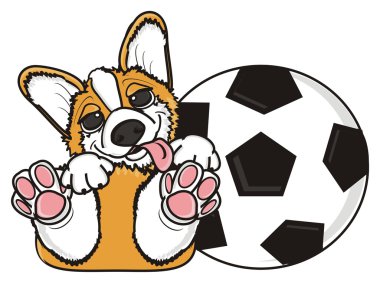 büyük futbol topu yanındaki yalan köpek