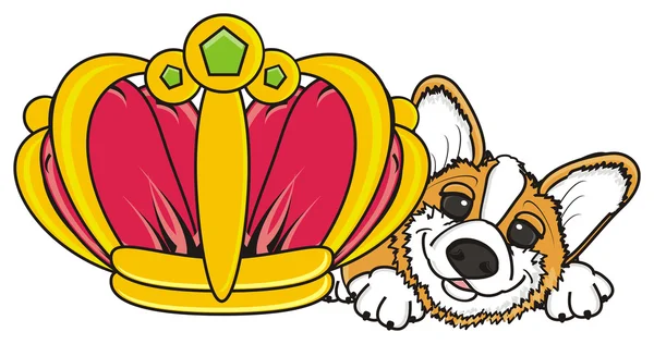 Pysk psa Peek się od dużych korony — Zdjęcie stockowe