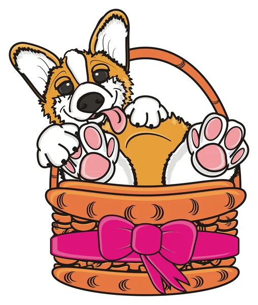 Собака лежит в плетеной корзине с розовым бантом — стоковое фото