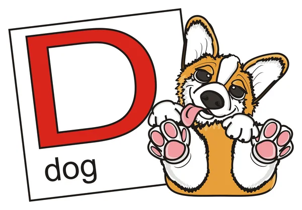 Σκύλος βρίσκεται δίπλα στην κάρτα με το γράμμα D — Φωτογραφία Αρχείου