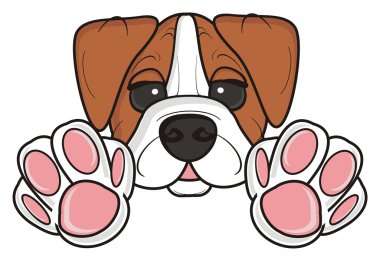 Namlu boksör doğurmak