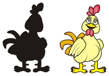 siyah ve renkli horozlar