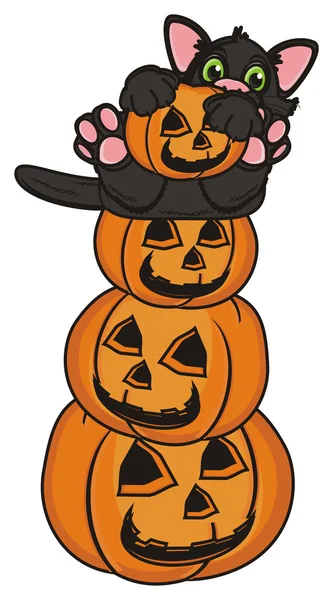 Different Halloween characters — Stock Photo, Image