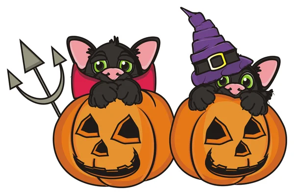 Symbols of Halloween — Stock Photo, Image
